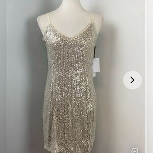 H&M Silver Sequin Dress